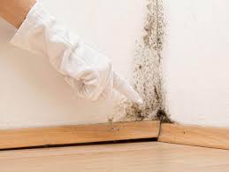 Best Residential Mold Inspection & Testing in Rockport, IN